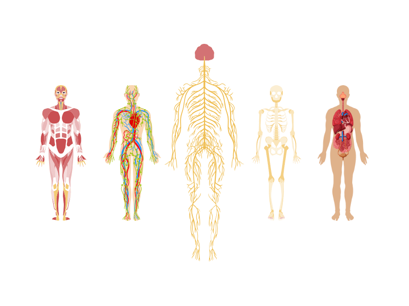 Neuro Dimension Logo