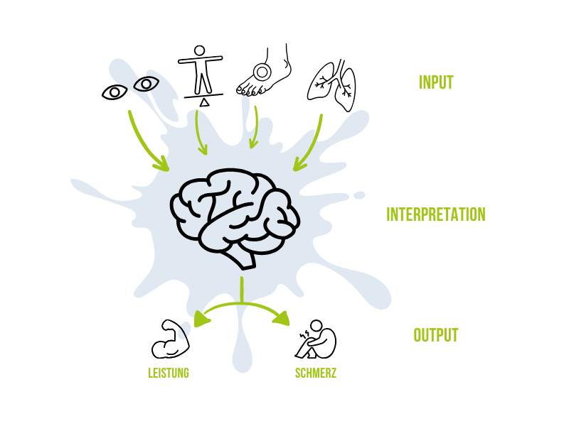 Input Interpretation Output
